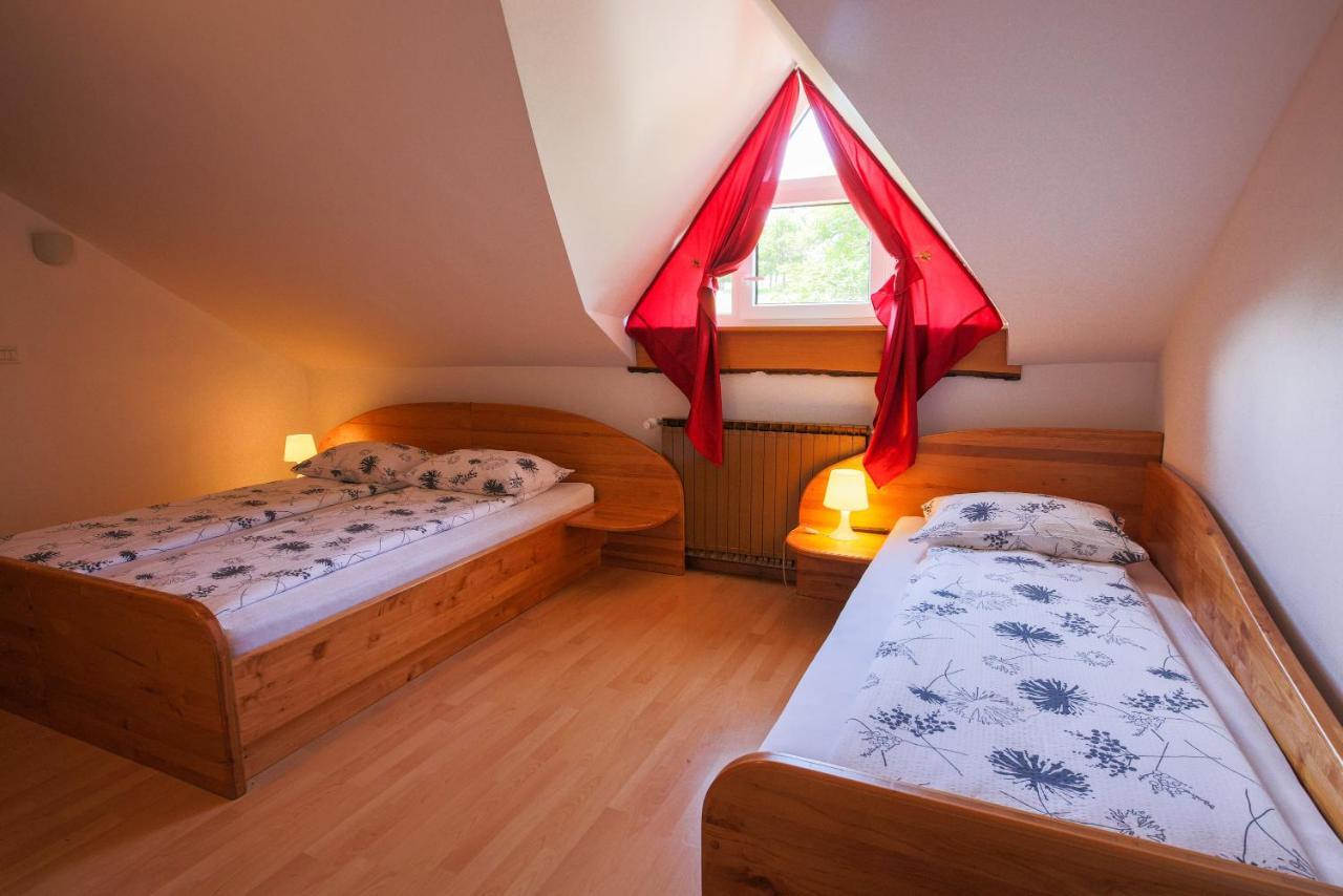 Domacija Malnarjevi Villa Villa Slavina ภายนอก รูปภาพ